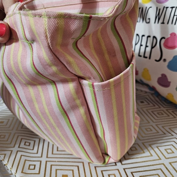 Special Delivery Multi color Pink Geen Yellow Red  Mini Tote Bag - Picture 6 of 14